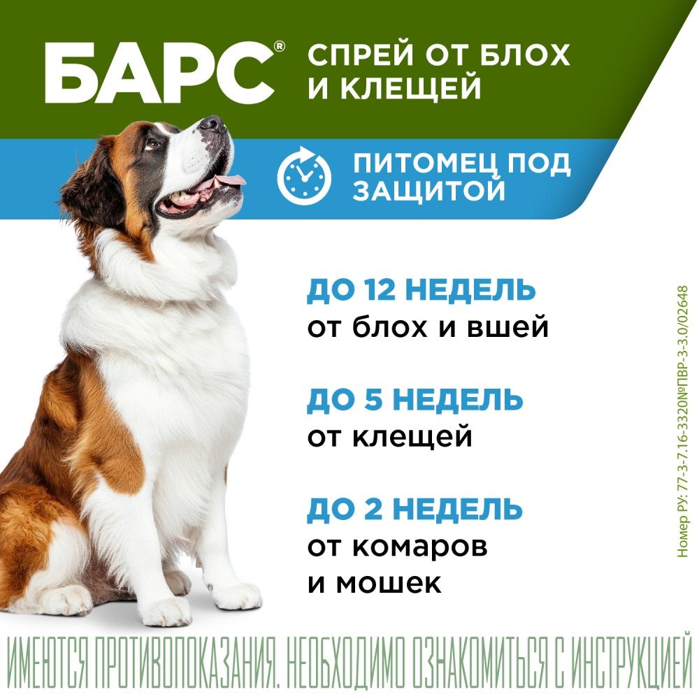 https://storage.yandexcloud.net/pim-core/370167.jpeg