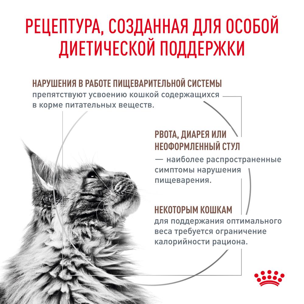 https://storage.yandexcloud.net/pim-core/372987.jpeg