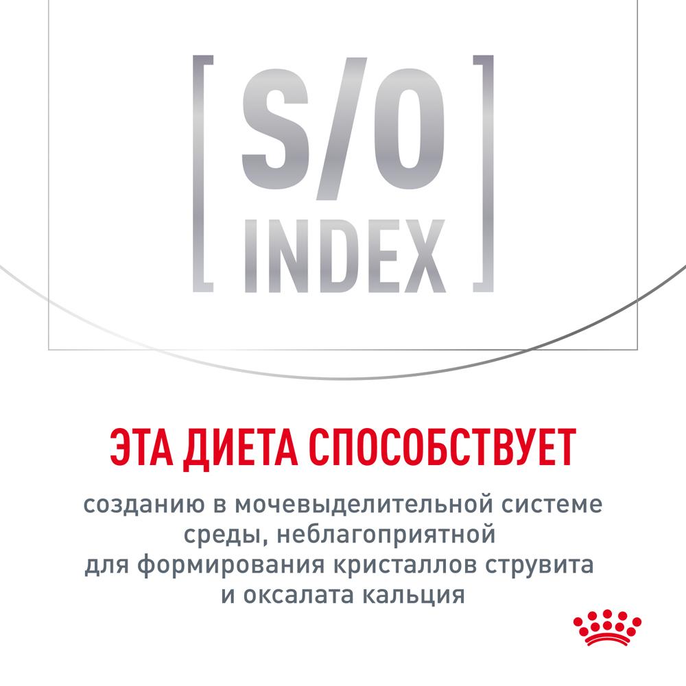 https://storage.yandexcloud.net/pim-core/372989.jpeg