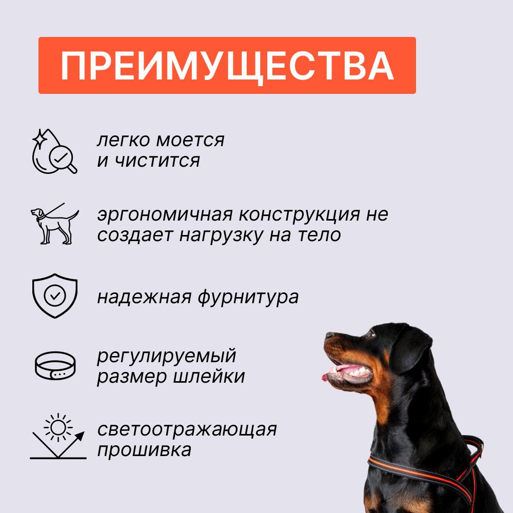 https://storage.yandexcloud.net/pim-core/373424.jpeg