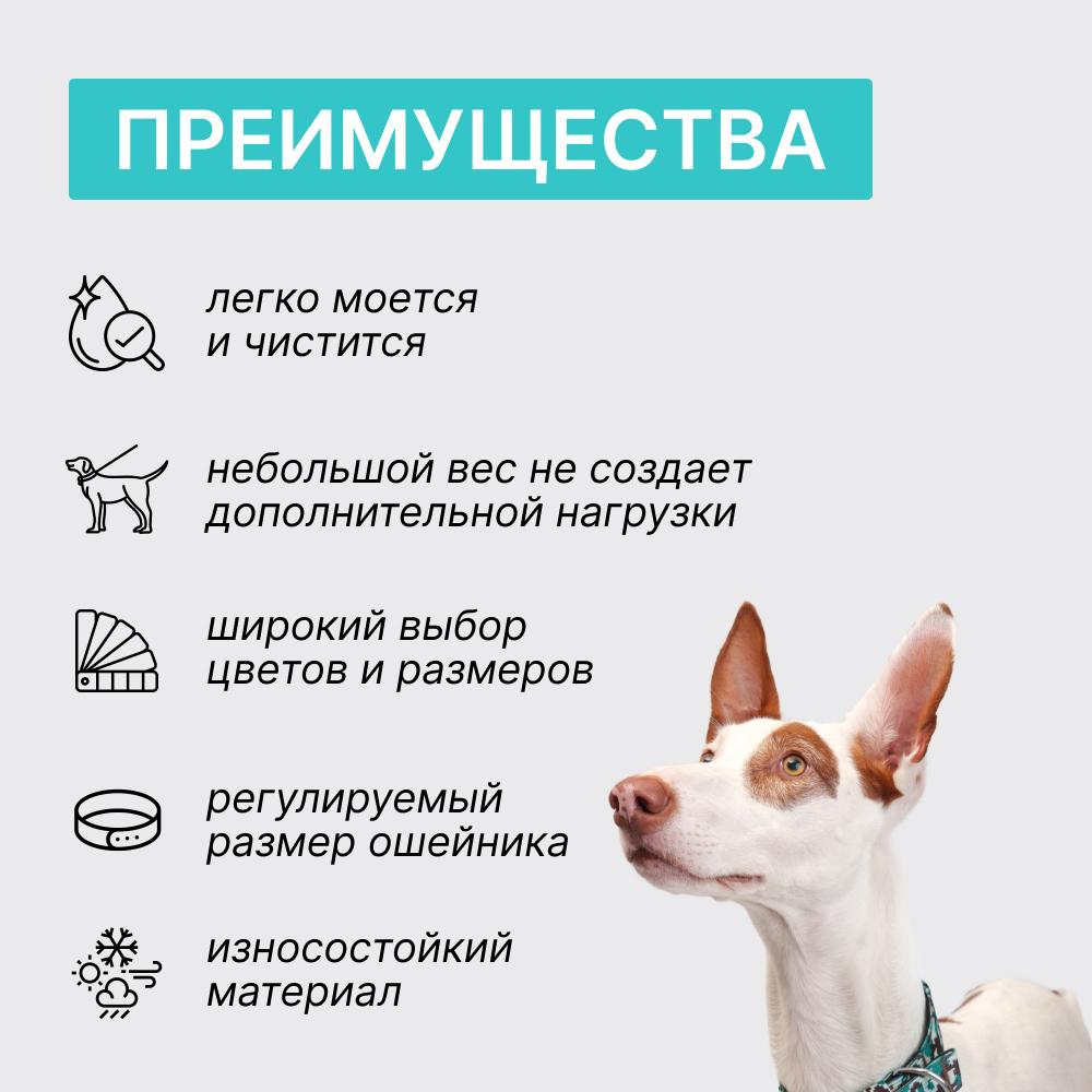 https://storage.yandexcloud.net/pim-core/374473.jpeg