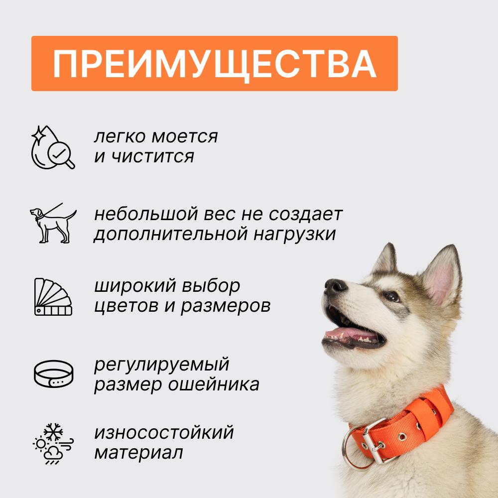 https://storage.yandexcloud.net/pim-core/374518.jpeg