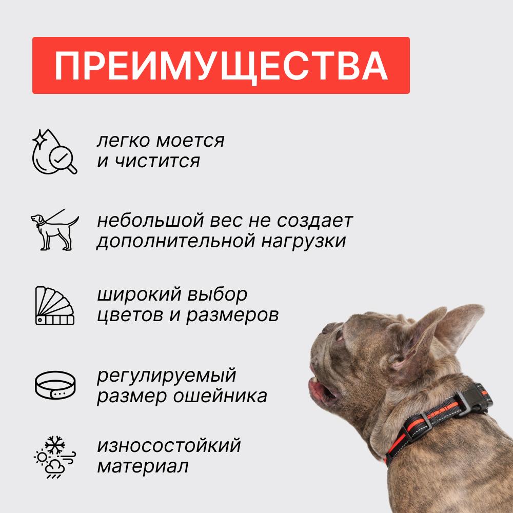 https://storage.yandexcloud.net/pim-core/374555.jpeg