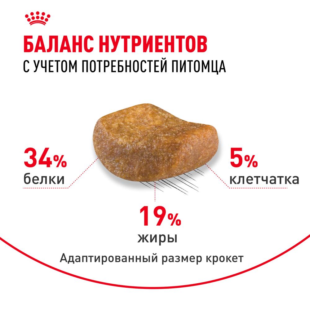 https://storage.yandexcloud.net/pim-core/375138.jpeg