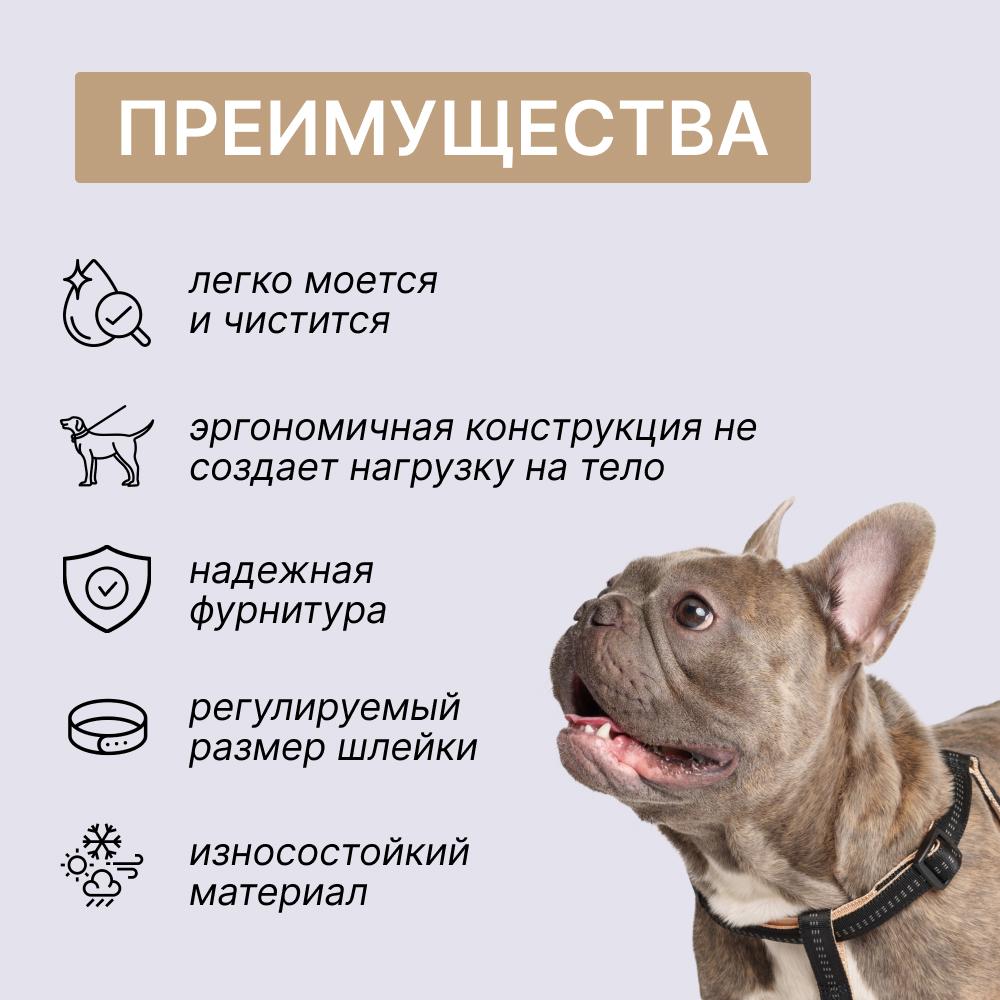 https://storage.yandexcloud.net/pim-core/376459.jpeg