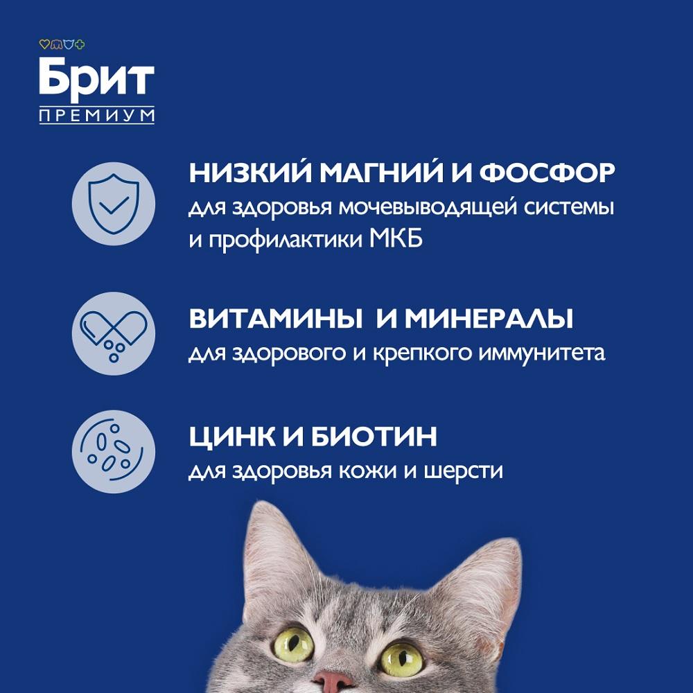 https://storage.yandexcloud.net/pim-core/376724.jpeg