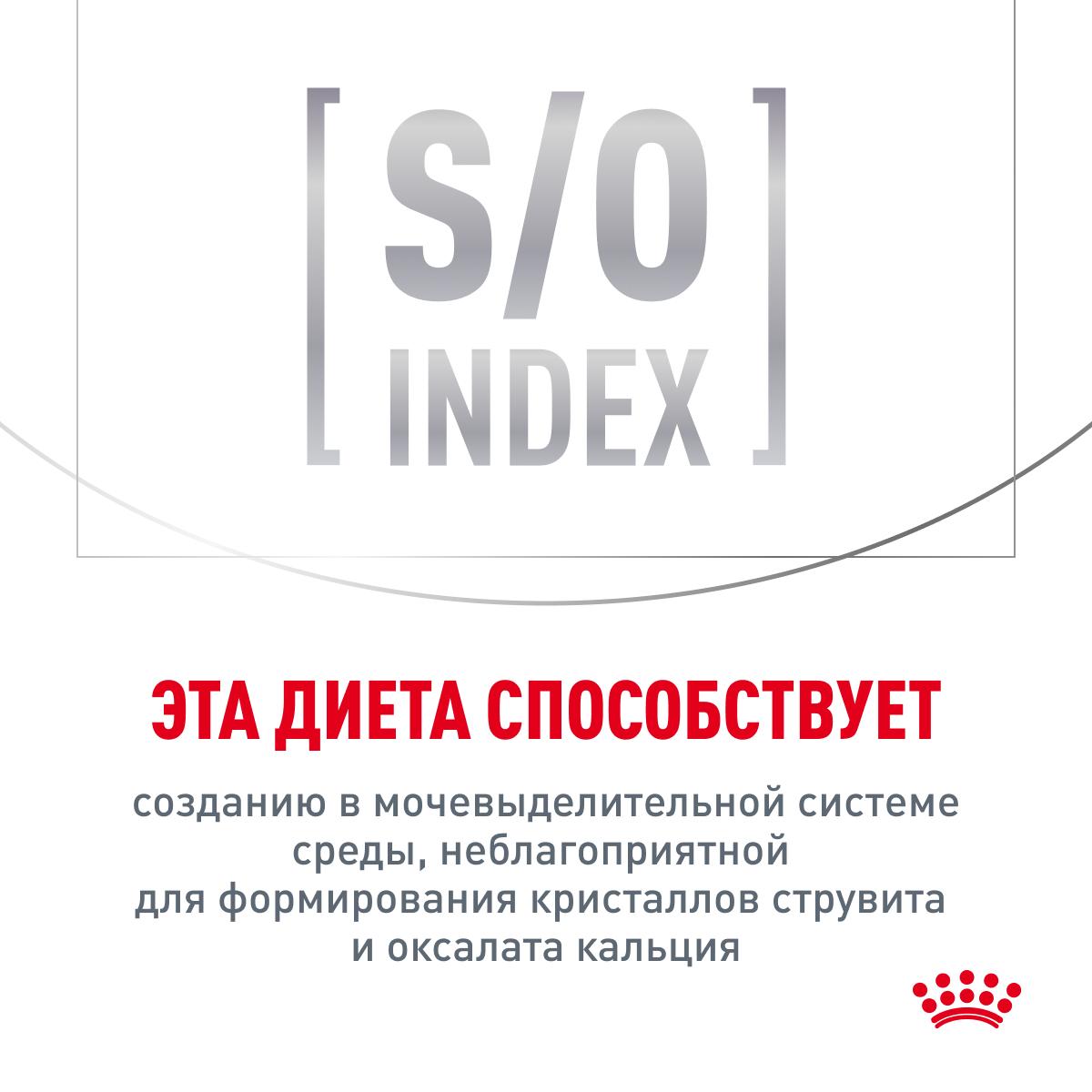 https://storage.yandexcloud.net/pim-core/376853.jpeg