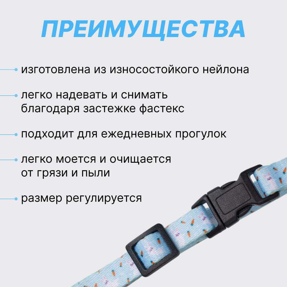https://storage.yandexcloud.net/pim-core/377061.jpeg