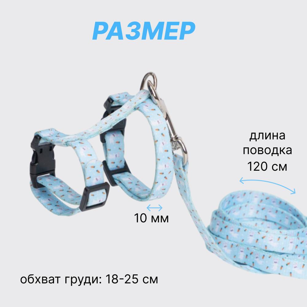 https://storage.yandexcloud.net/pim-core/377065.jpeg