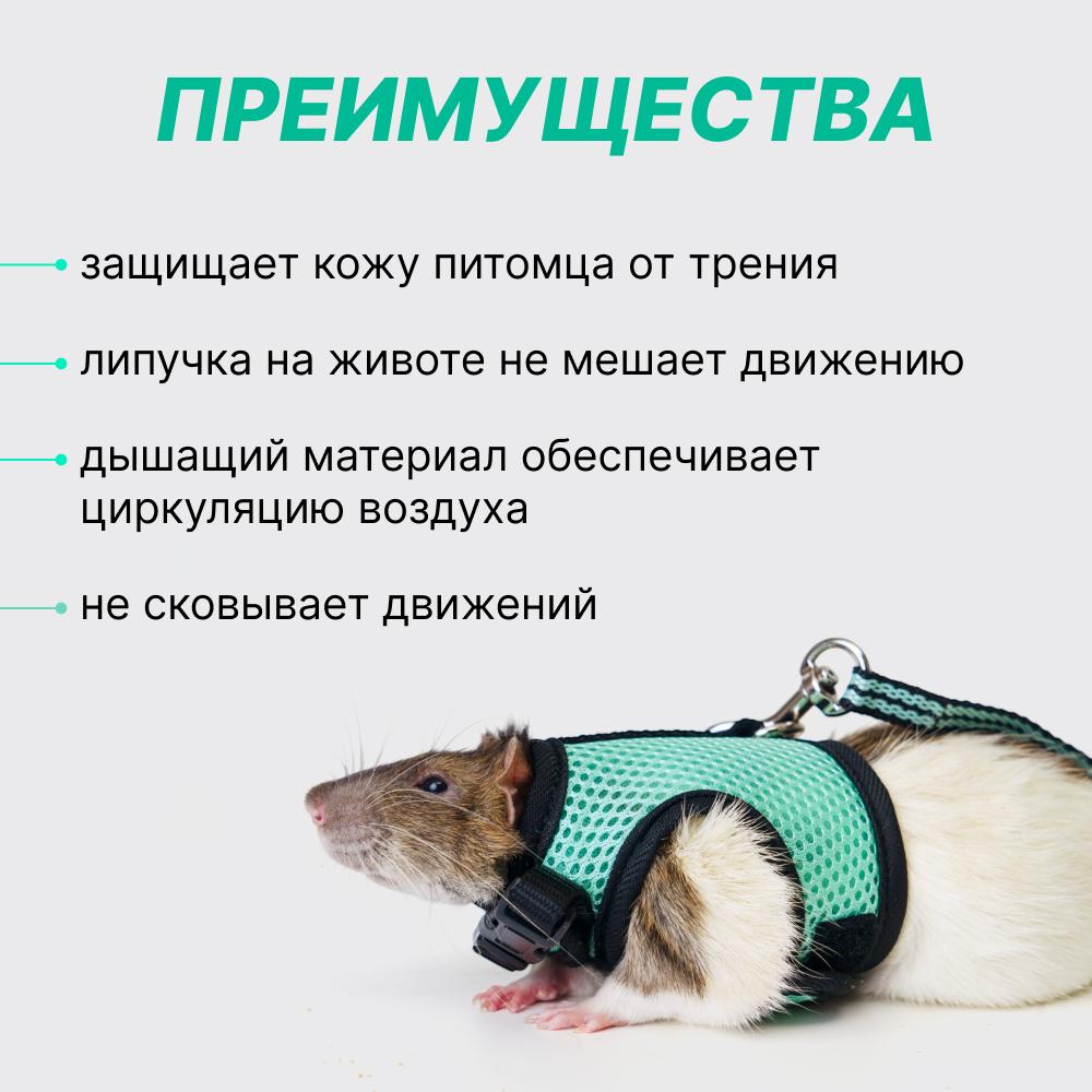 https://storage.yandexcloud.net/pim-core/377075.jpeg
