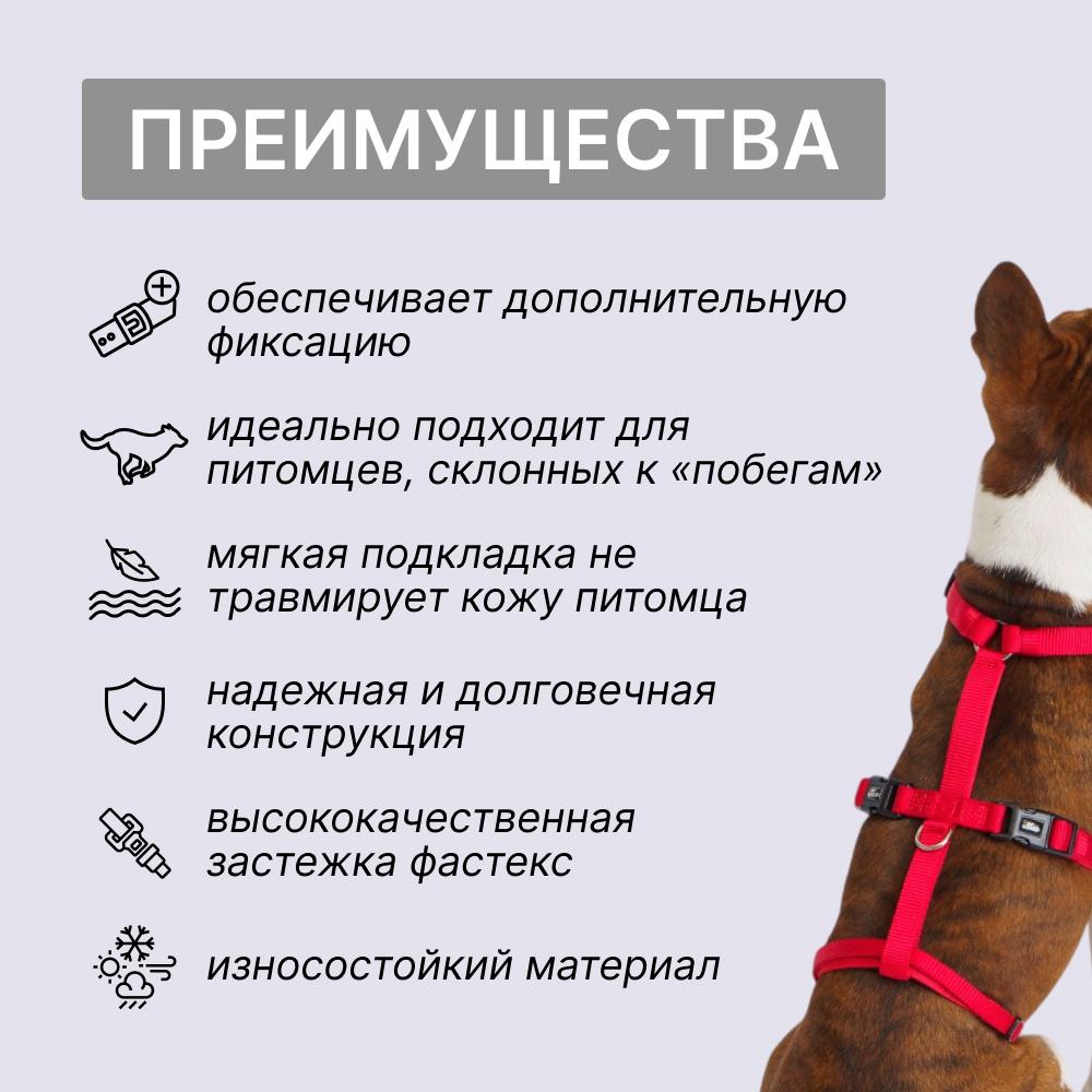 https://storage.yandexcloud.net/pim-core/377112.jpeg