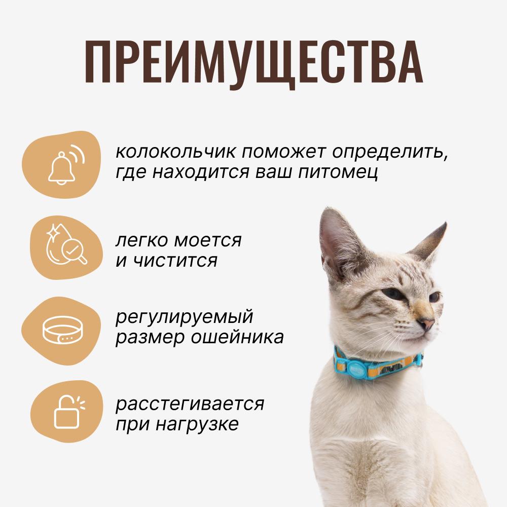 https://storage.yandexcloud.net/pim-core/377324.jpeg