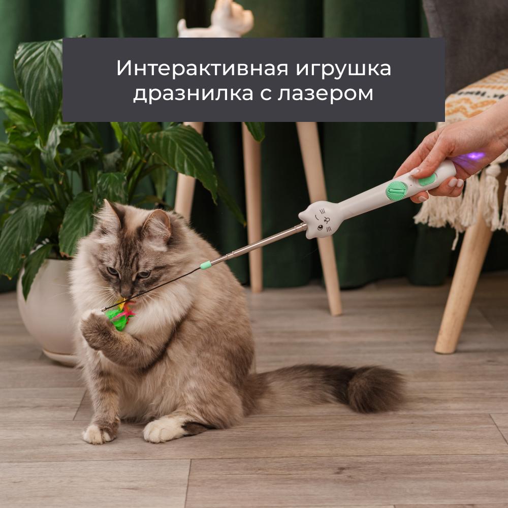 https://storage.yandexcloud.net/pim-core/377434.jpeg
