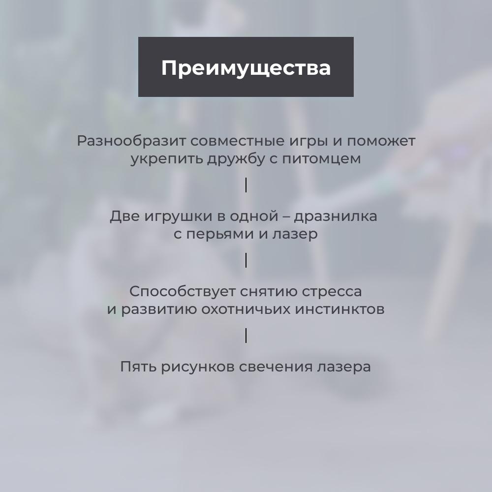 https://storage.yandexcloud.net/pim-core/377435.jpeg