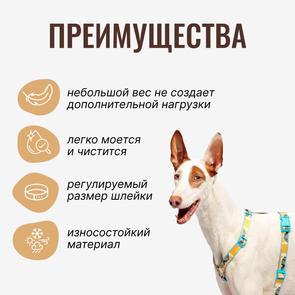 https://storage.yandexcloud.net/pim-core/377444.jpeg