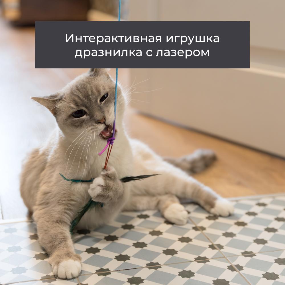 https://storage.yandexcloud.net/pim-core/377575.jpeg