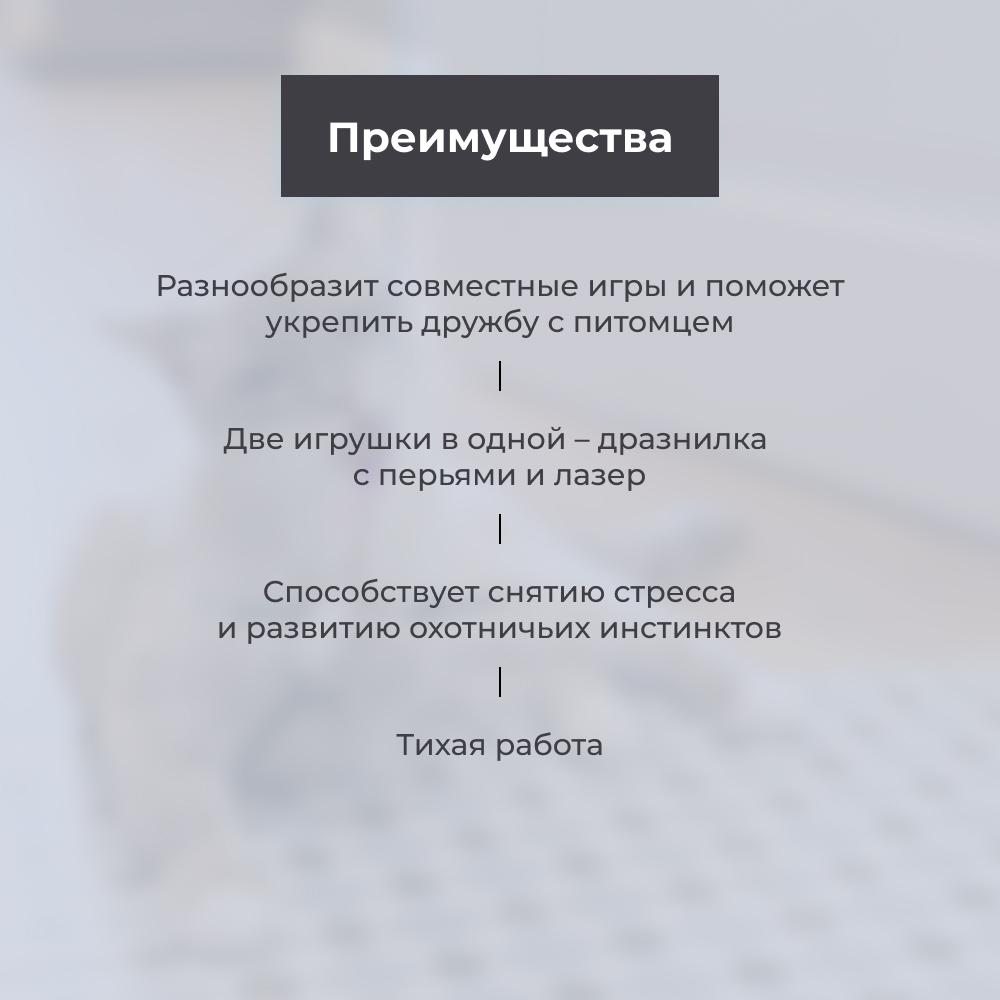 https://storage.yandexcloud.net/pim-core/377576.jpeg