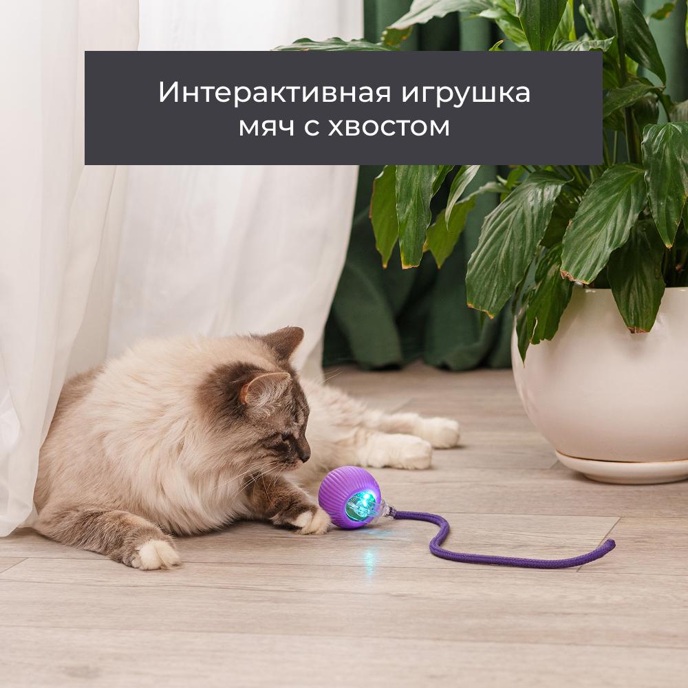 https://storage.yandexcloud.net/pim-core/377600.jpeg