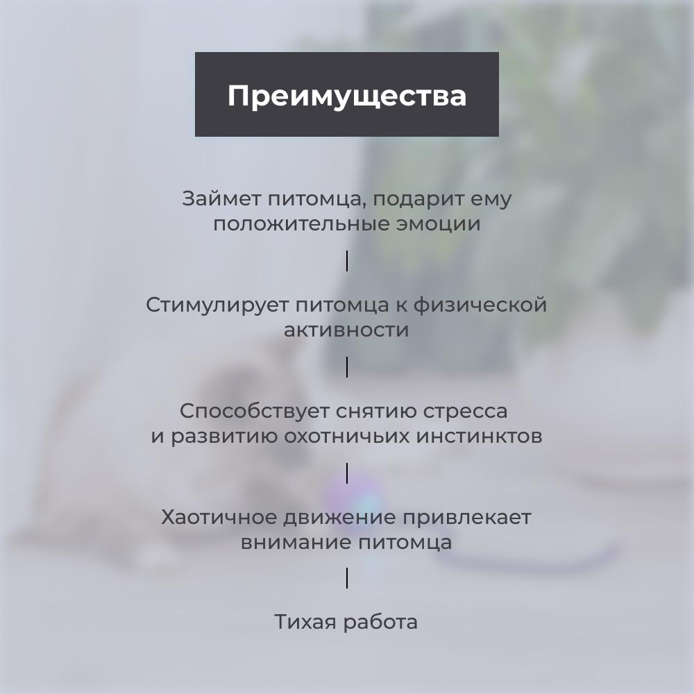 https://storage.yandexcloud.net/pim-core/377601.jpeg