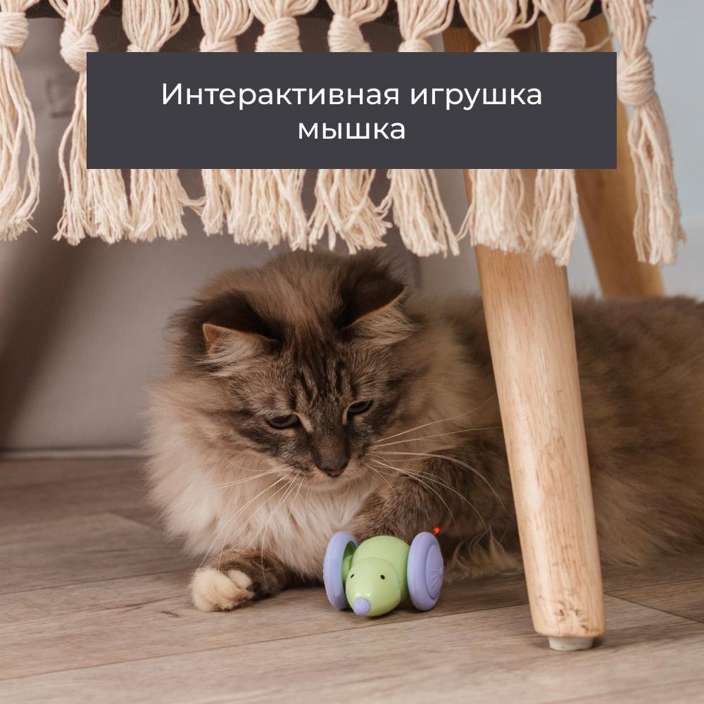 https://storage.yandexcloud.net/pim-core/377608.jpeg