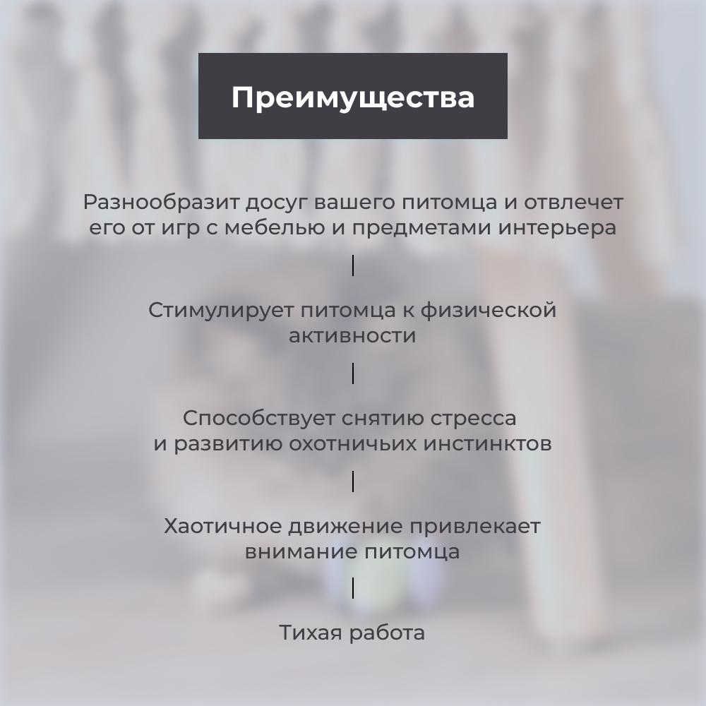 https://storage.yandexcloud.net/pim-core/377609.jpeg