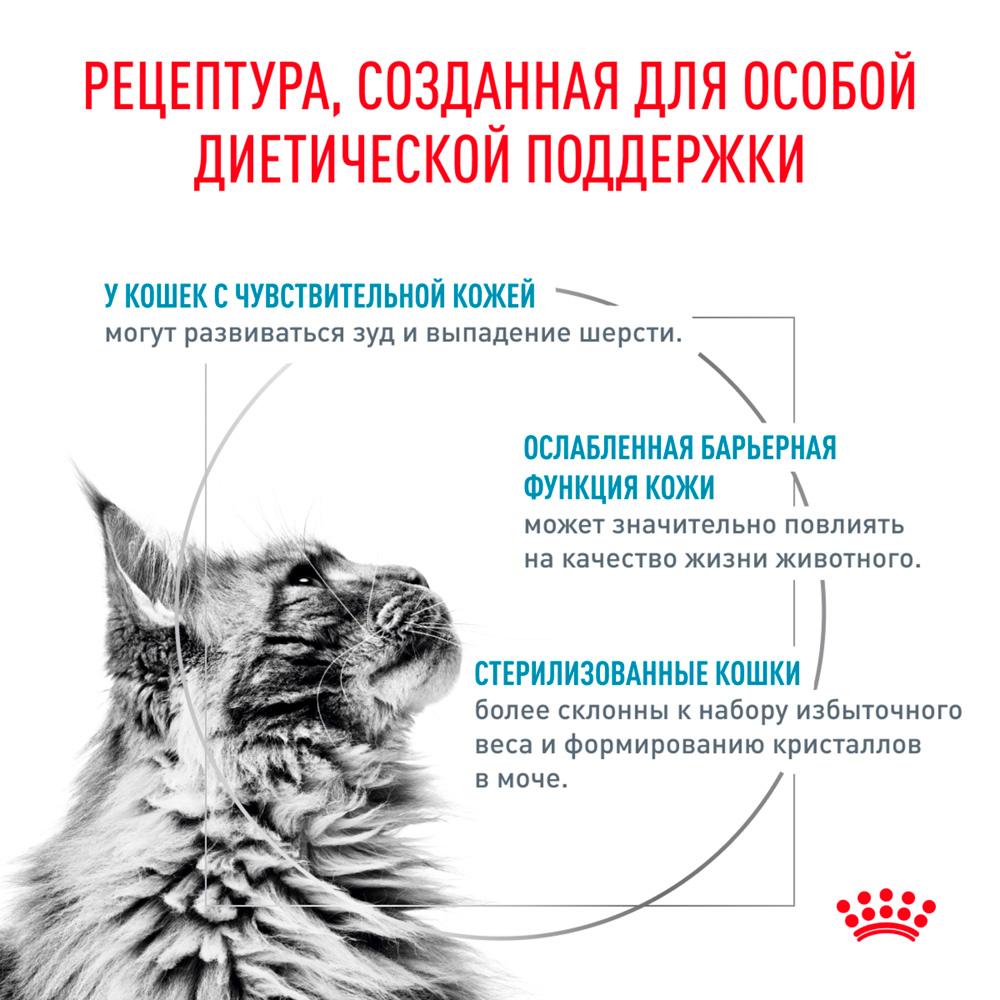 https://storage.yandexcloud.net/pim-core/378180.jpeg