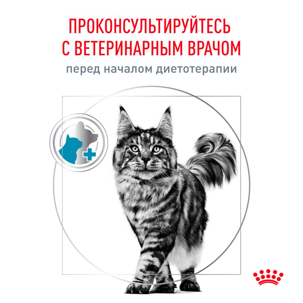 https://storage.yandexcloud.net/pim-core/378187.jpeg