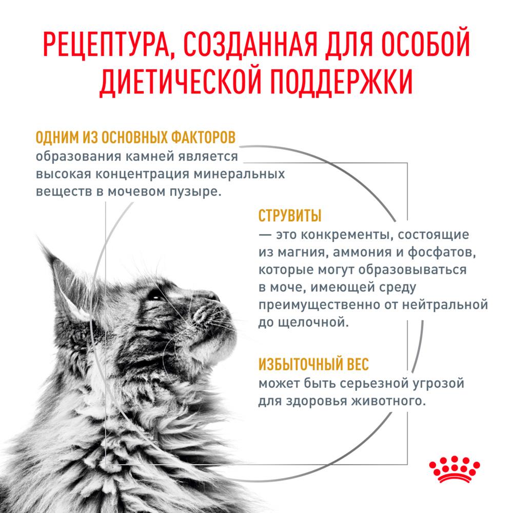 https://storage.yandexcloud.net/pim-core/378214.jpeg