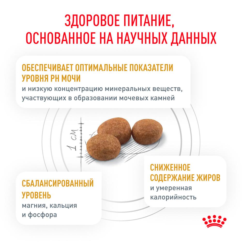 https://storage.yandexcloud.net/pim-core/378216.jpeg