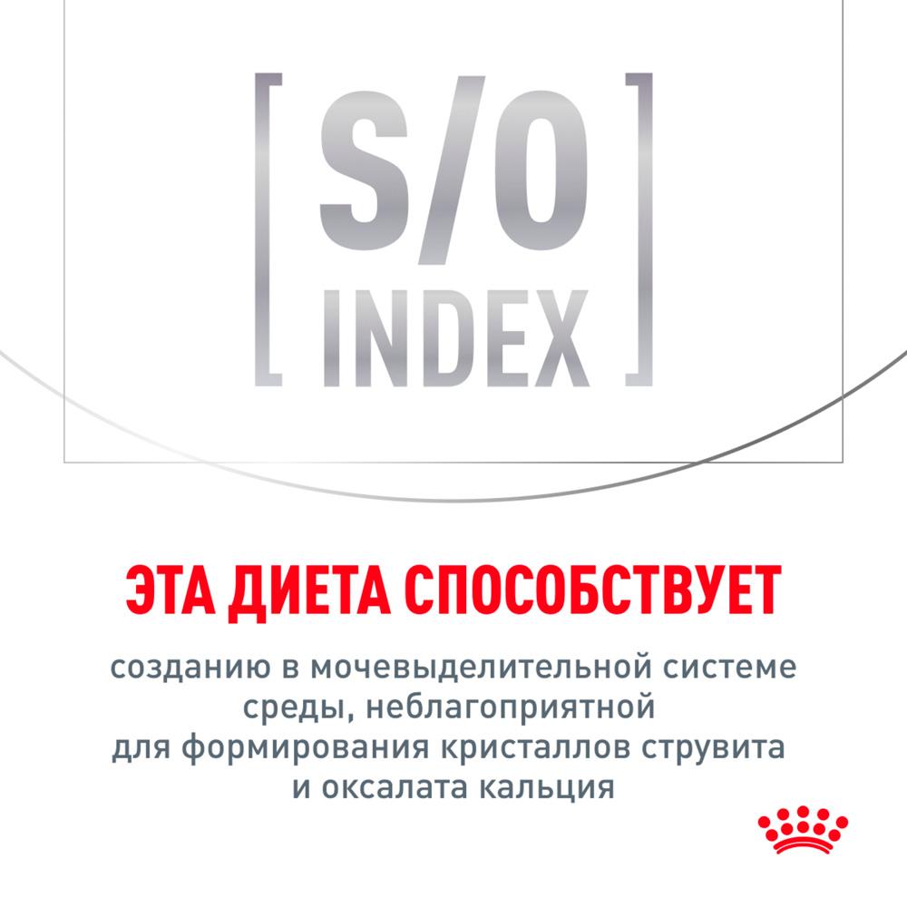 https://storage.yandexcloud.net/pim-core/378220.jpeg
