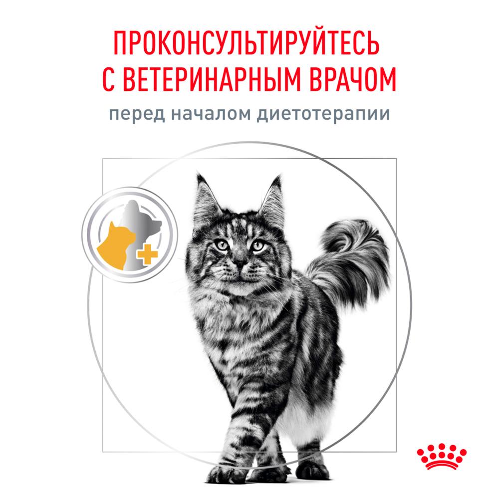 https://storage.yandexcloud.net/pim-core/378221.jpeg
