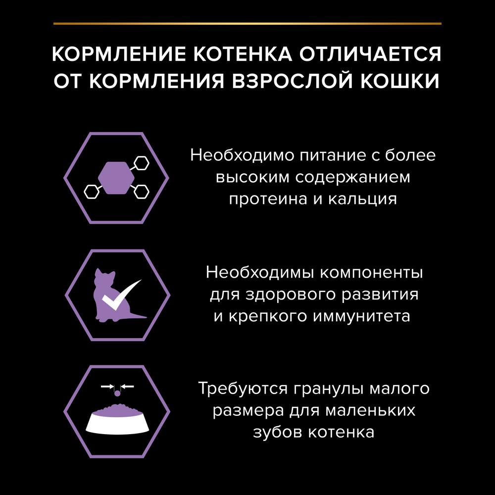 https://storage.yandexcloud.net/pim-core/378448.jpeg