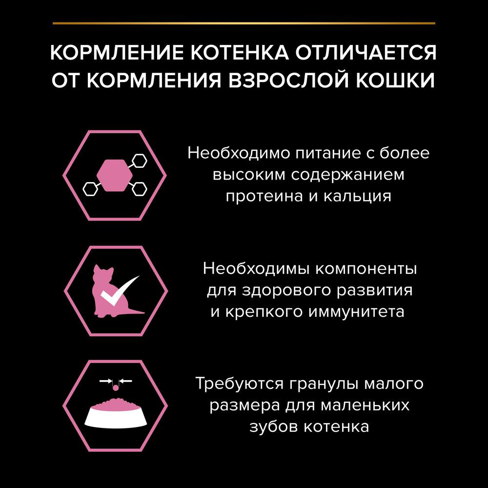https://storage.yandexcloud.net/pim-core/378528.jpeg