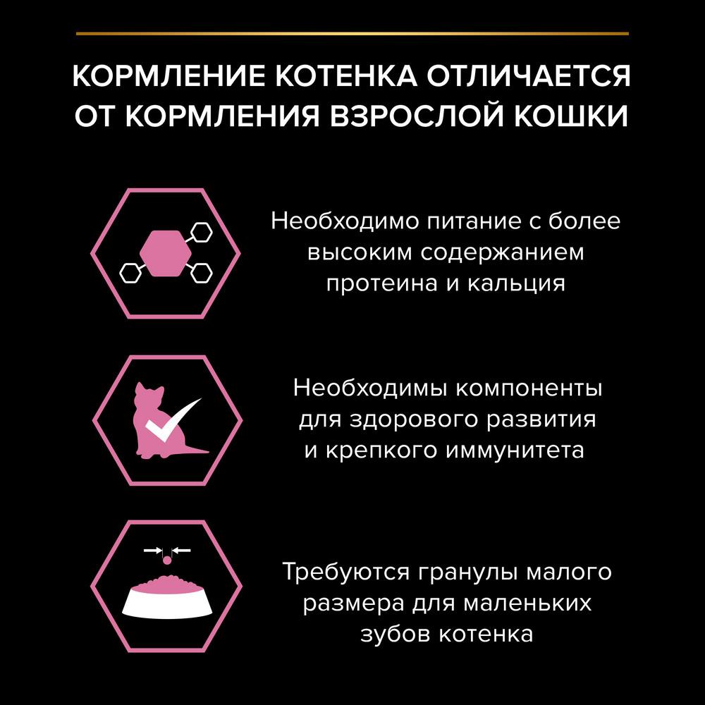 https://storage.yandexcloud.net/pim-core/378601.jpeg