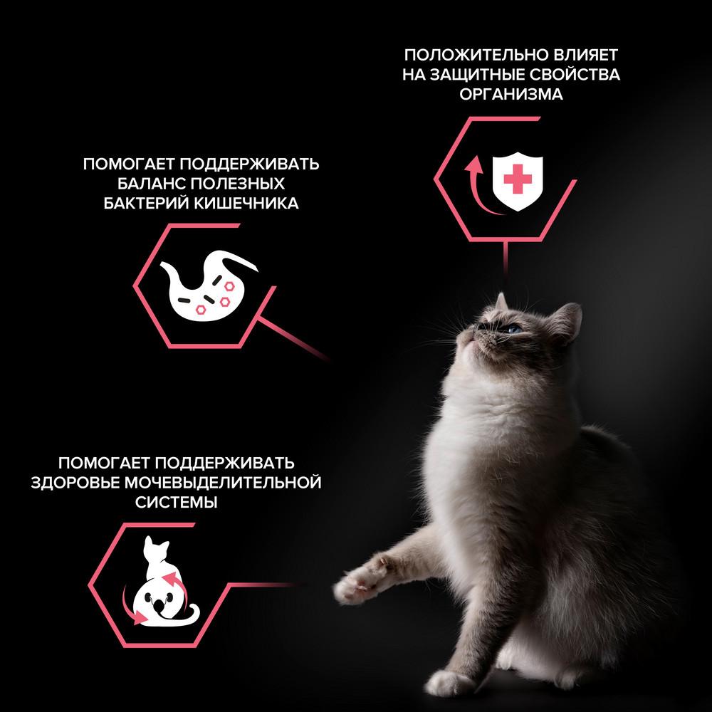 https://storage.yandexcloud.net/pim-core/380616.jpeg