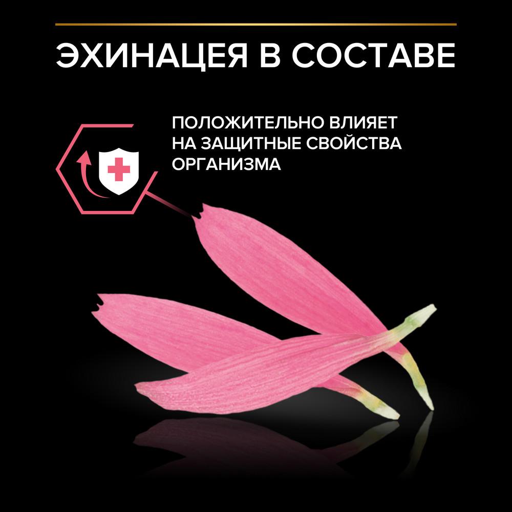 https://storage.yandexcloud.net/pim-core/380617.jpeg