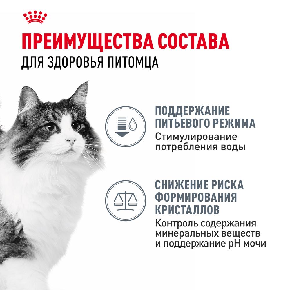 https://storage.yandexcloud.net/pim-core/383501.jpeg
