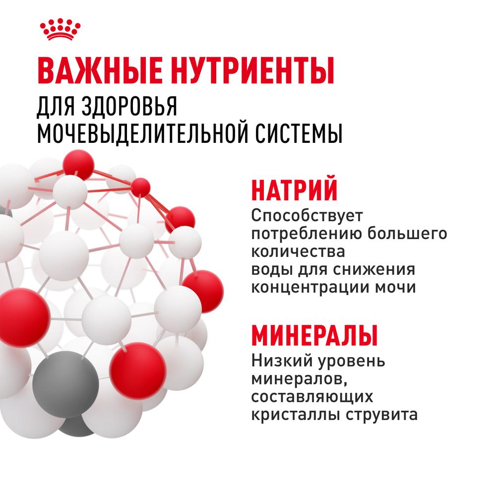 https://storage.yandexcloud.net/pim-core/383503.jpeg