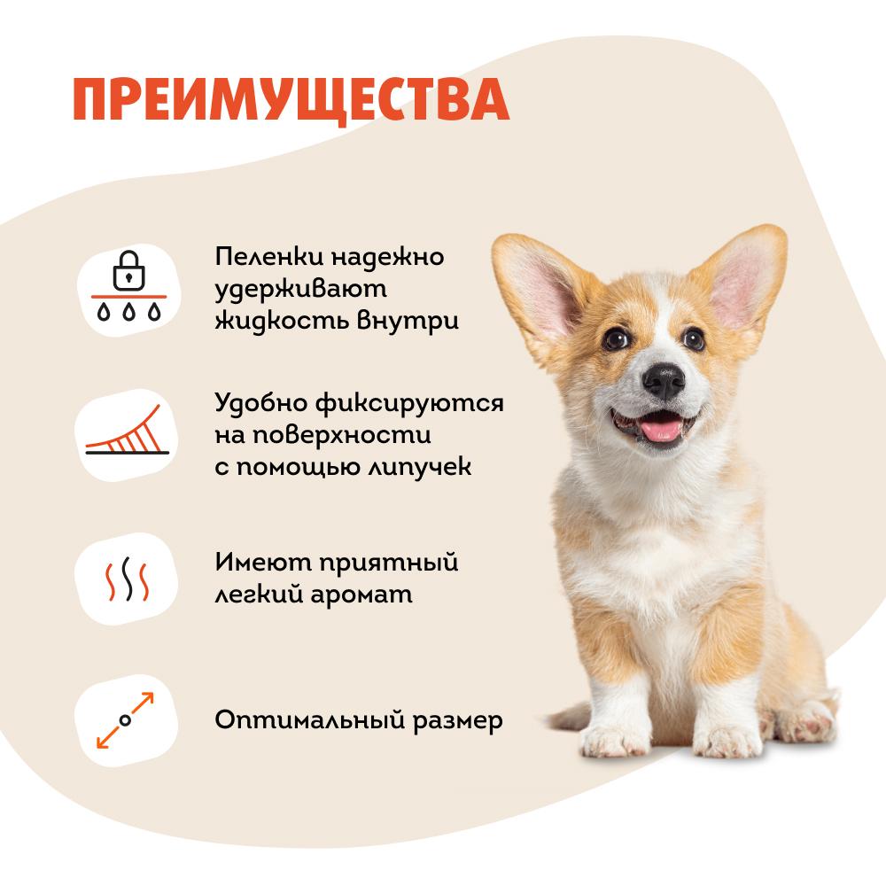 https://storage.yandexcloud.net/pim-core/389285.jpeg