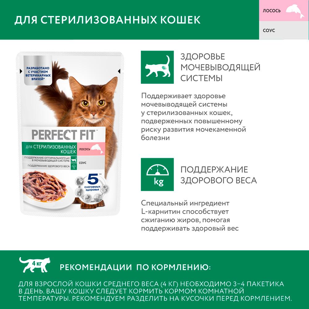 https://storage.yandexcloud.net/pim-core/389415.jpeg