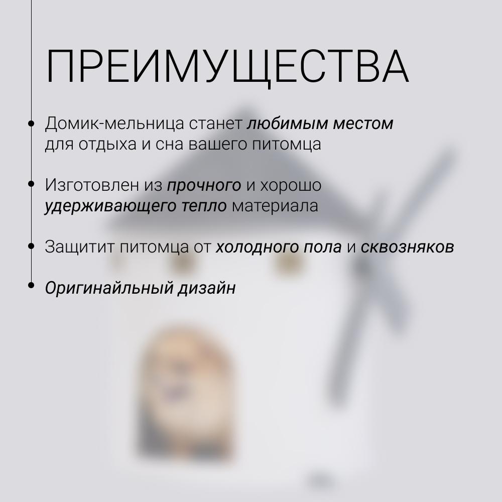 https://storage.yandexcloud.net/pim-core/389870.jpeg