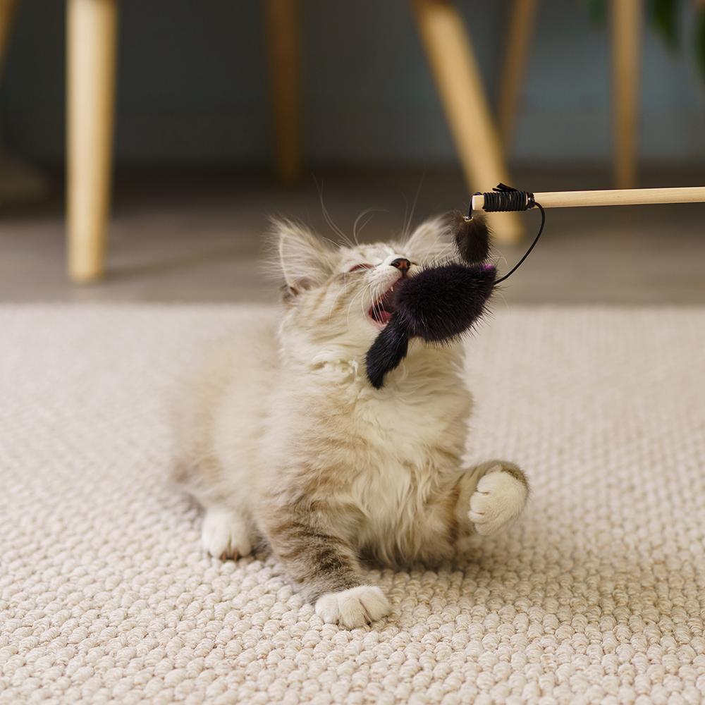 https://storage.yandexcloud.net/pim-core/390096.jpeg