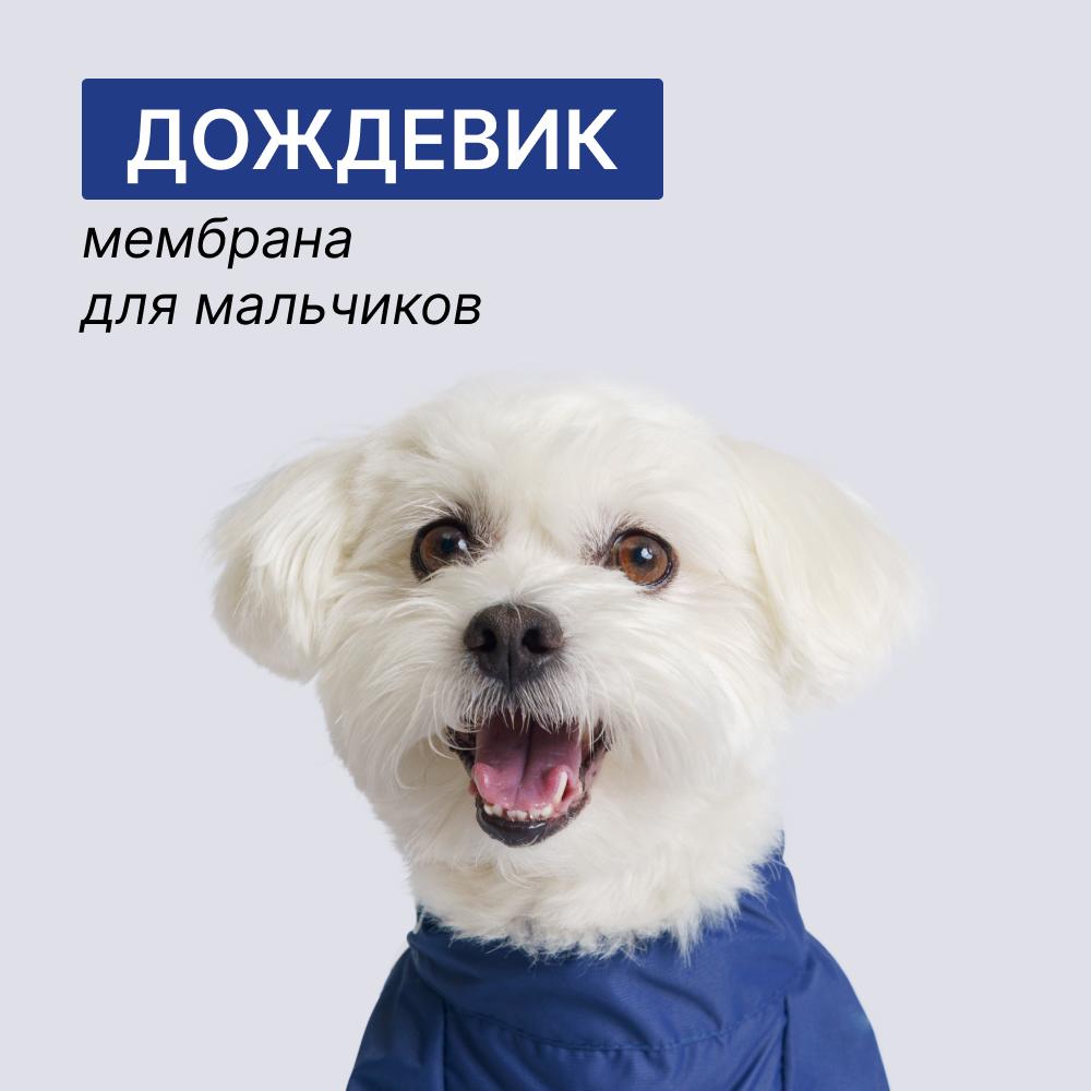 https://storage.yandexcloud.net/pim-core/390728.jpeg