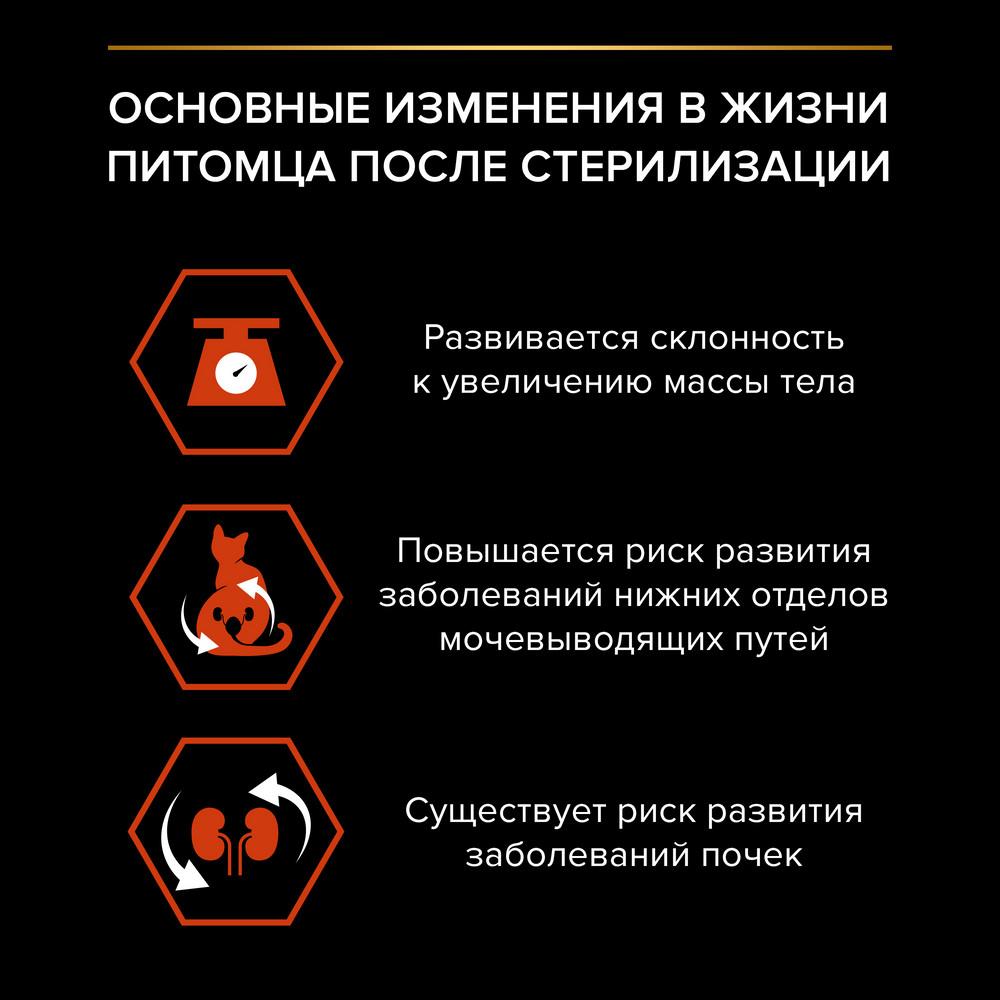 https://storage.yandexcloud.net/pim-core/390955.jpeg