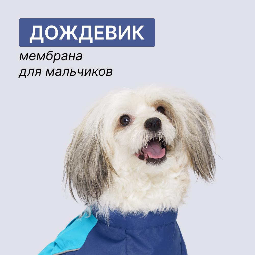 https://storage.yandexcloud.net/pim-core/391318.jpeg