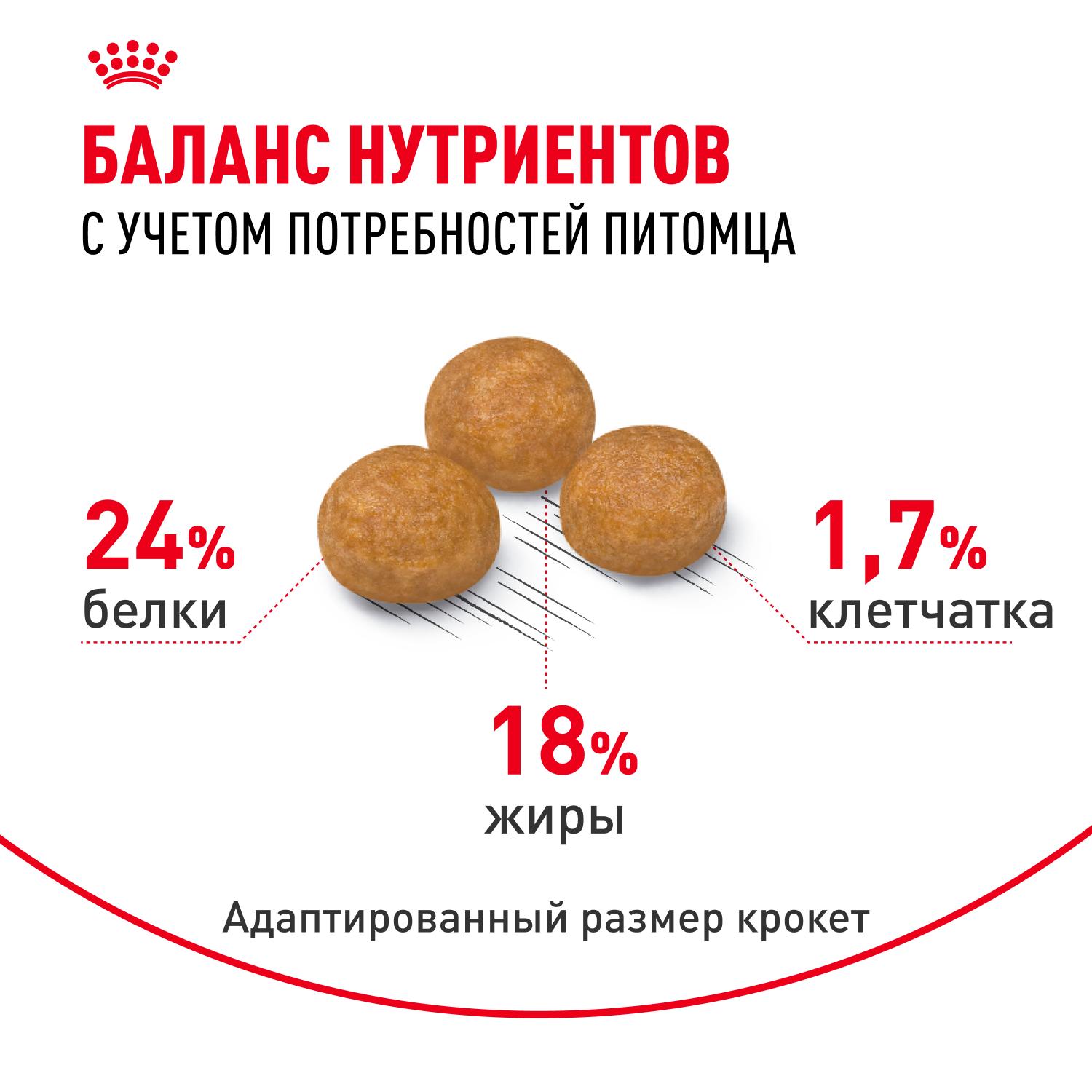 https://storage.yandexcloud.net/pim-core/391443.jpeg