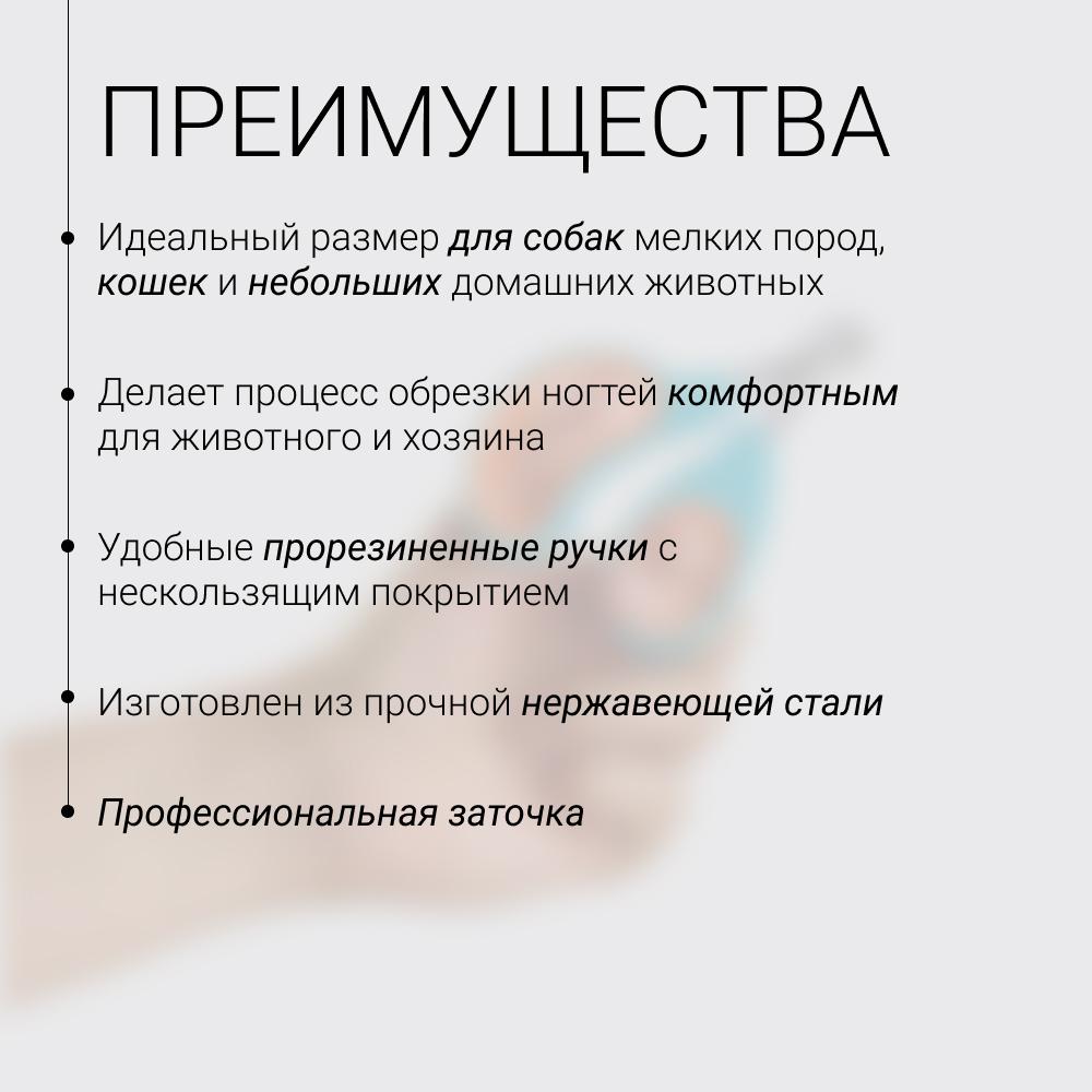 https://storage.yandexcloud.net/pim-core/392339.jpeg