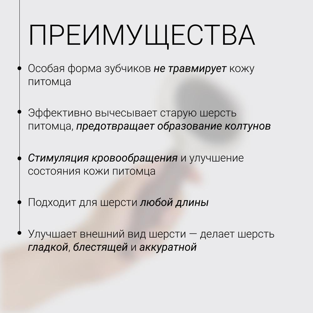 https://storage.yandexcloud.net/pim-core/392539.jpeg