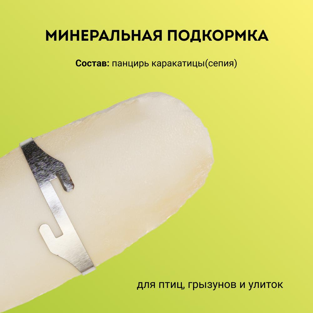 https://storage.yandexcloud.net/pim-core/394777.jpeg
