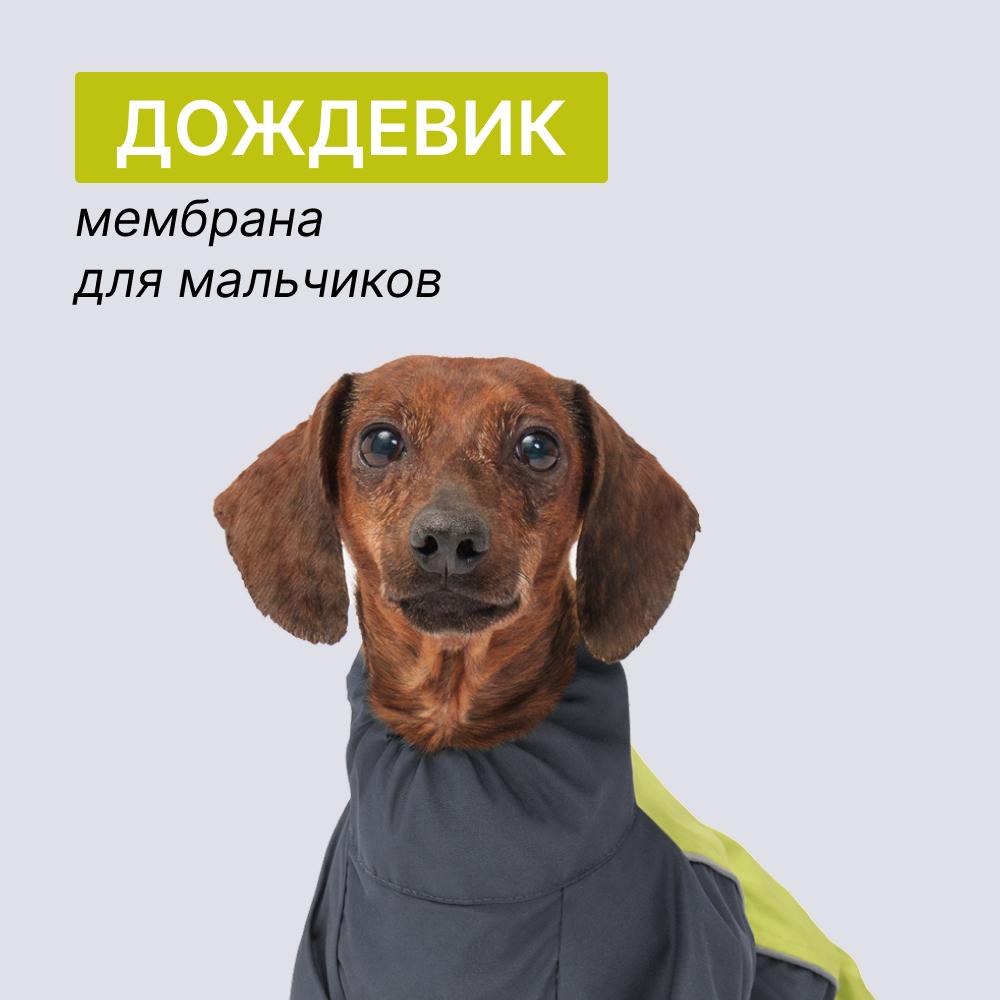 https://storage.yandexcloud.net/pim-core/396729.jpeg